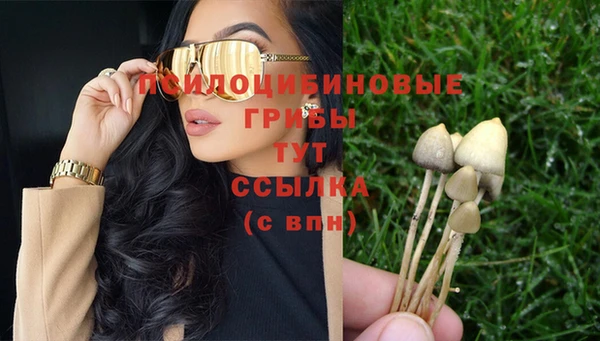 эйфоретик Балахна