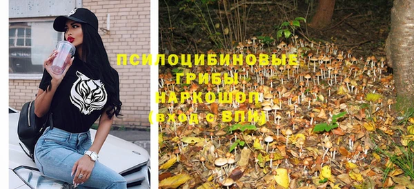прущая мука Переславль-Залесский
